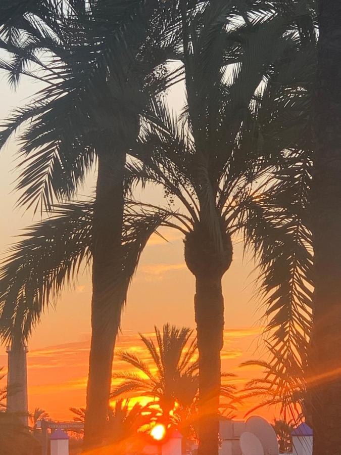 Appartement Palmeras Puerto Paraiso Estepona Zewnętrze zdjęcie