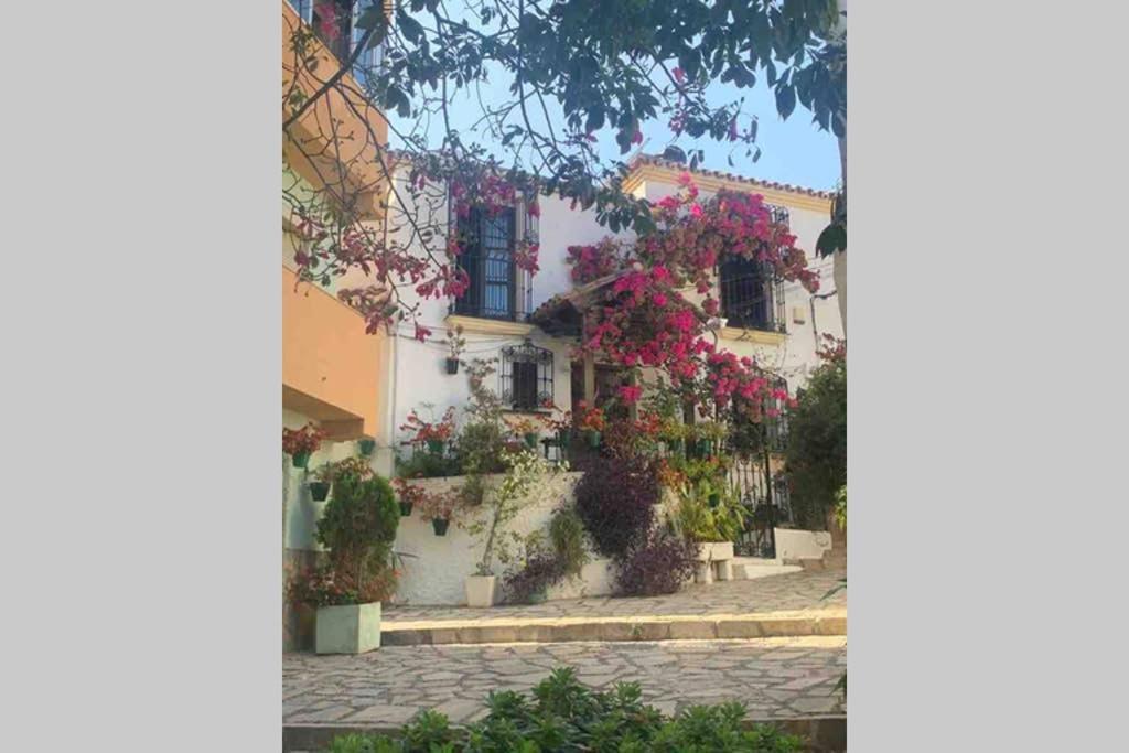 Appartement Palmeras Puerto Paraiso Estepona Zewnętrze zdjęcie