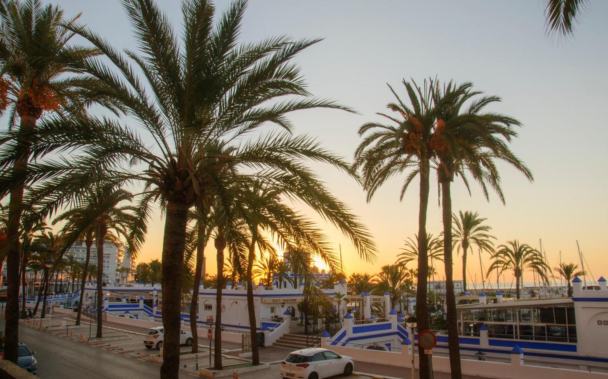 Appartement Palmeras Puerto Paraiso Estepona Zewnętrze zdjęcie
